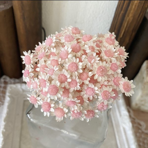 スターフラワーブロッサムアレンジ加工ホワイト淡ピンク30輪販売❣️ハンドメイド花材カラードライフラワー