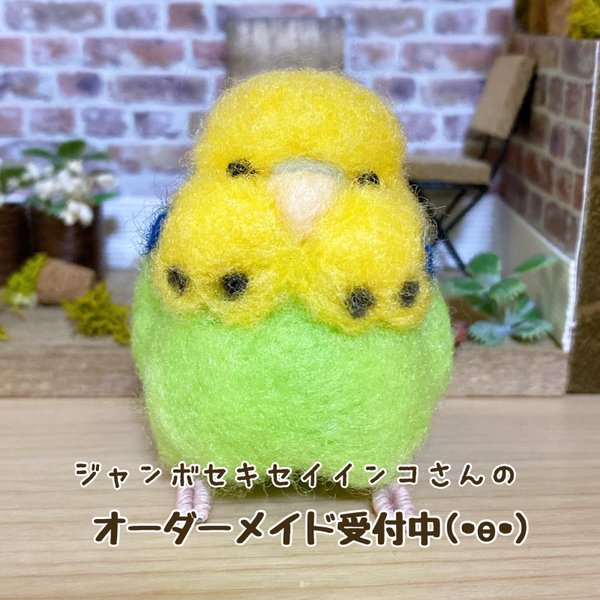 ジャンボセキセイインコ　オーダーメイド