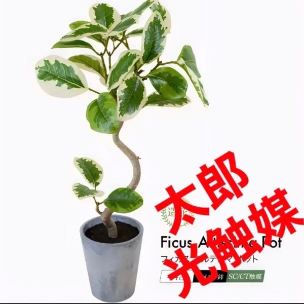 光触媒　人工観葉植物　ウォールグリーン　フェイク　アレンジ　アルテシマ