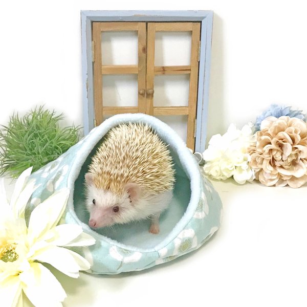 ハリちゃんのおやすみベッド（冬用） フラワー ミントブルー / Hedgehog bed for winter