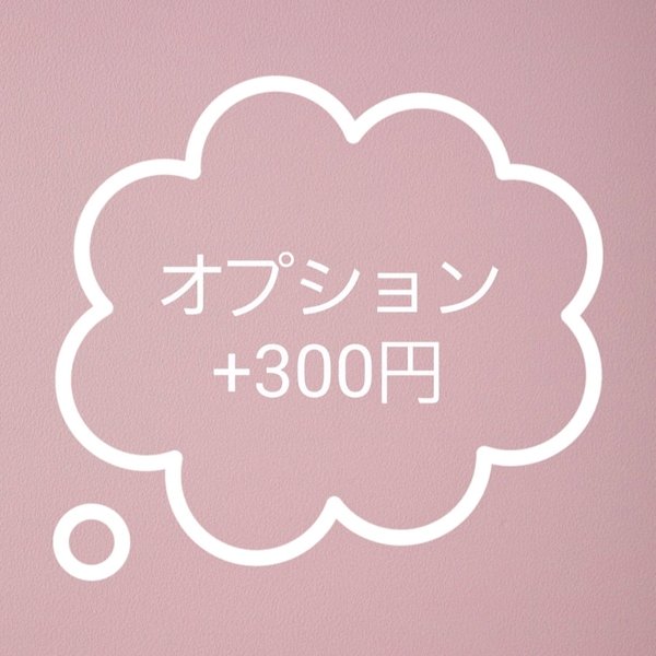 オプション　+300円