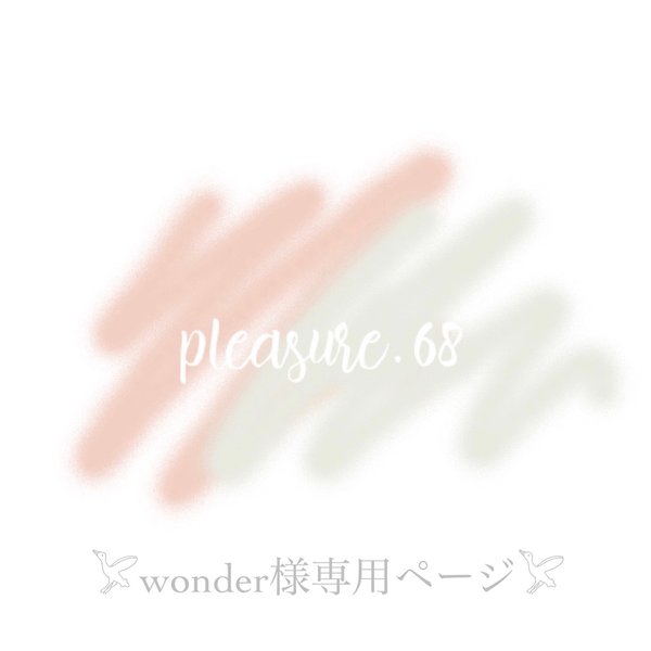 𓅯wonder様専用ページ𓅯