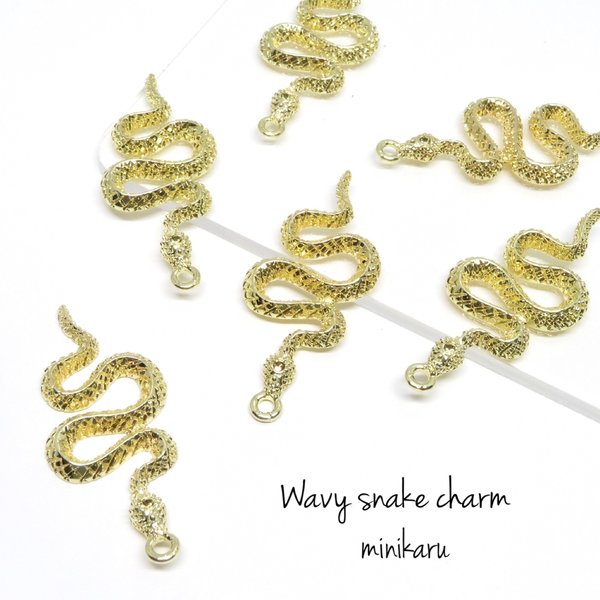 6pcs) Wavy snake charm