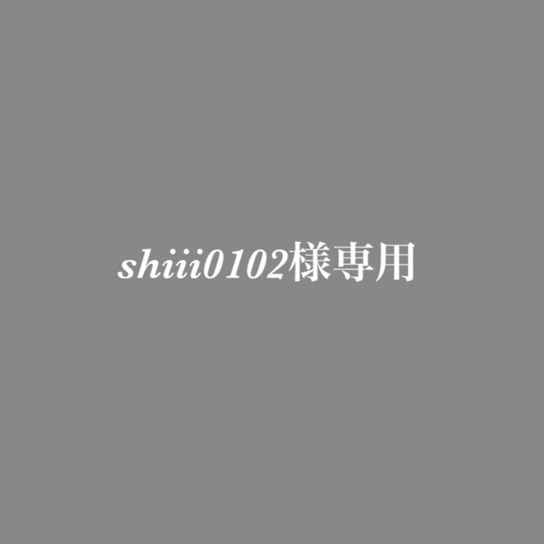 【納品4/1】shiii0102様専用 席札D二つ折り