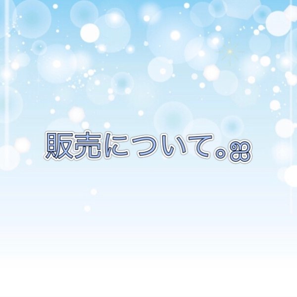 ご購入前にお読みくださいませ🙇‍♀️