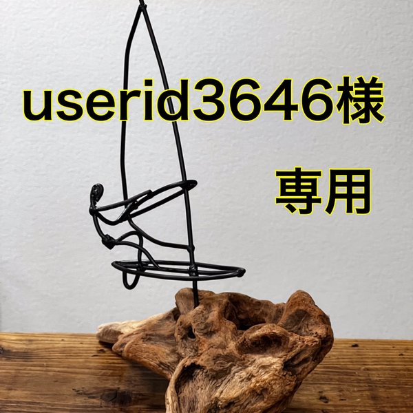 userid3646様専用　ウィンドサーフィン