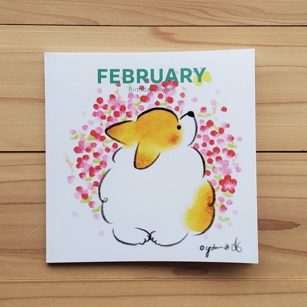 ２月の誕生花集「FEBRUARY」