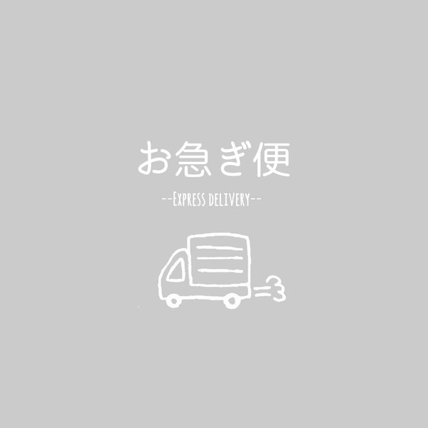  お急ぎ便  最短1日で発送 ⚠作品説明お読みください