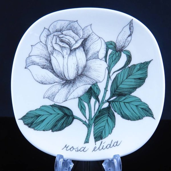 ARABIA/アラビア Botanica/ボタニカ Rosa elida/白バラ Esteri Tomula/エステリ・トムラ ウォールプレート 絵皿 飾りプレート