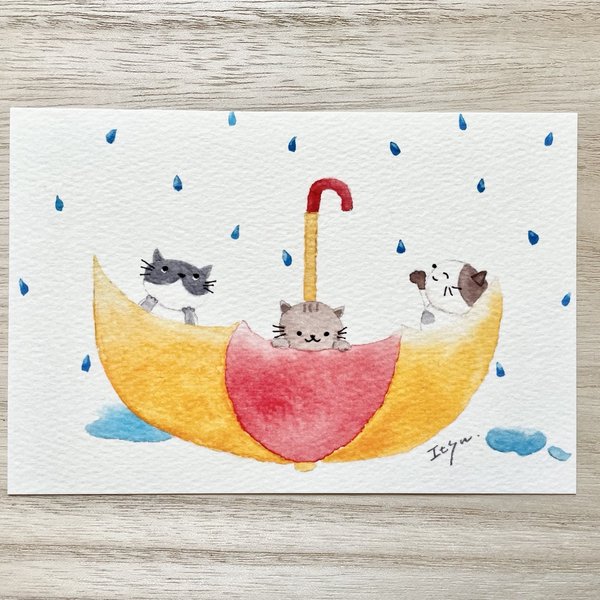 ☔️透明水彩画「楽しい雨の日」イラストポストカード2枚セット 猫 ねこ　ネコ　キジネコ　トラネコ　三毛猫　ハチワレ　傘　メッセージカード　父の日　母の日　梅雨☔️