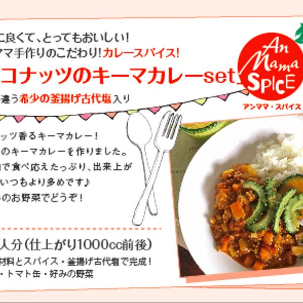 KIDSもOK「ココナッツのキーマカレースパイスset」身体に良くて、とってもおいしい！ アンママ手作りのこだわり!カレースパイス!