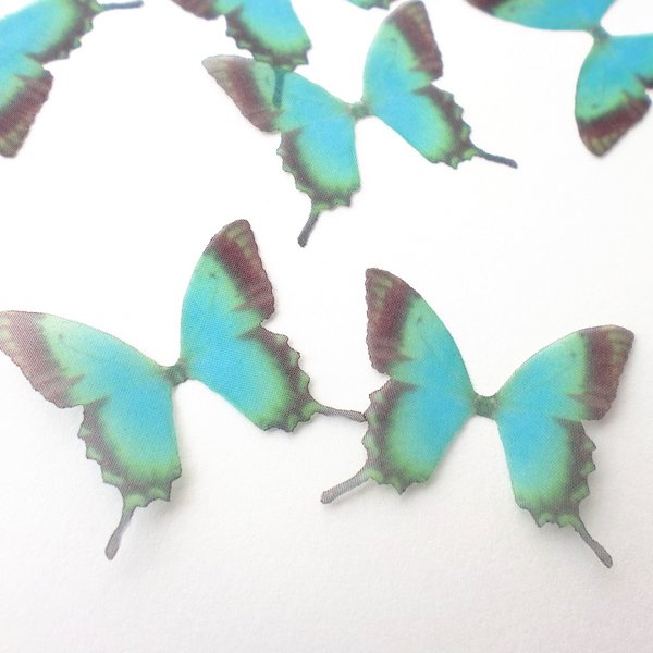 ちょうちょのパーツ 5cm   オーガンジー シフォン 素材 グリーン アゲハ アゲハ 蝶 蝶々 27