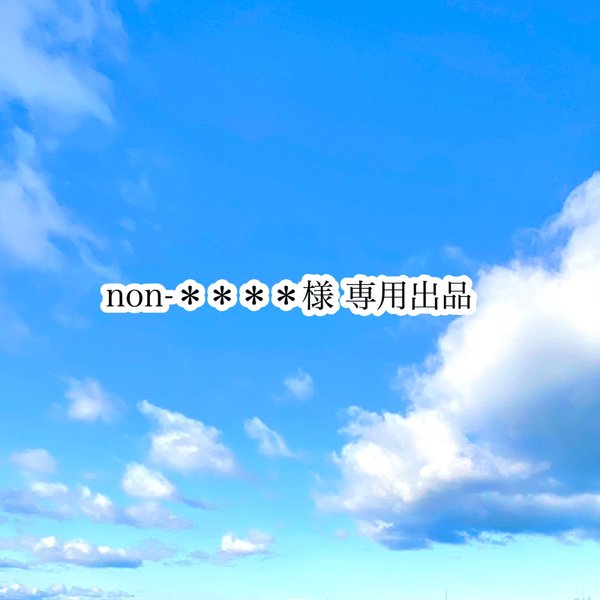 non-＊＊＊＊様オーダー品