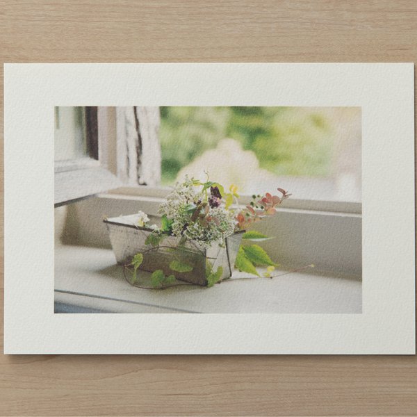 「Plant Photography」マーメイド プリント 002