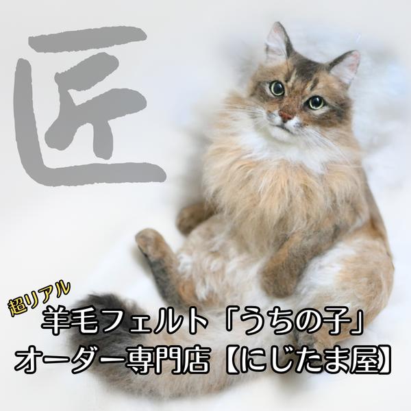 羊毛フェルト「うちの子」オーダー　にじたま屋　ぬいぐるみ 猫 犬  リアル そっくり ペット ペットロス アメショ