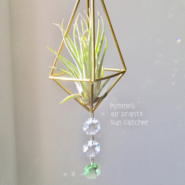 himmeli  airplants suncatcher エアプランツサンキャッチャーヒンメリ【受注製作】