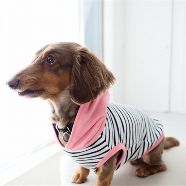 犬服　ダックスちゃんのフード付タンクトップ　白ベースボーダー×ピンク