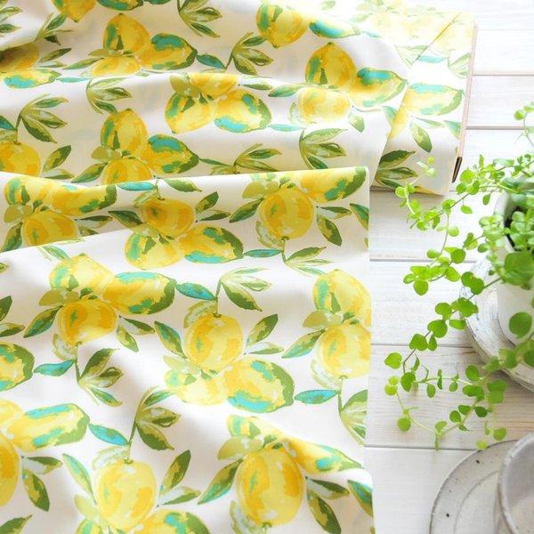 生地 Yuma Lemons Mist　-ART GALLERY FABRICS -	SGE-14453