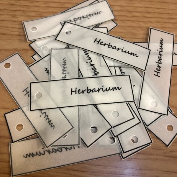 【送料0】蝋引き 『Herbarium』タグ100枚