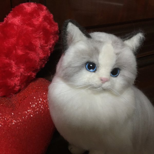 リアル羊毛フェルト ラグドール 猫 人形  バイカラー