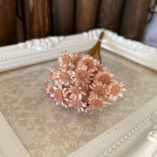 スターフラワープティナチュラルピンク小分け❣️ハーバリウムボールペン花材プリザーブドフラワー
