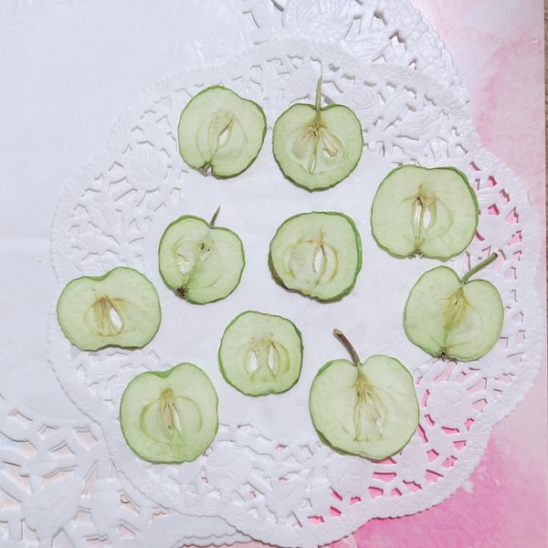ミニりんご ベビーアップル グリーンアップル 押しフルーツ 10枚 摘果 素材 キャンドル ハーバリウム レジン