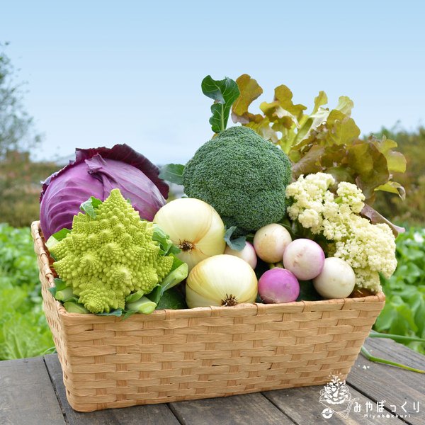 《ベジコレ》淡路島産島のトレンド野菜コレクション!!　お任せセット　-100サイズ-