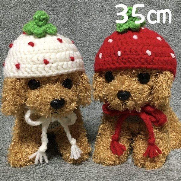 苺の帽子🍓小型犬用帽子