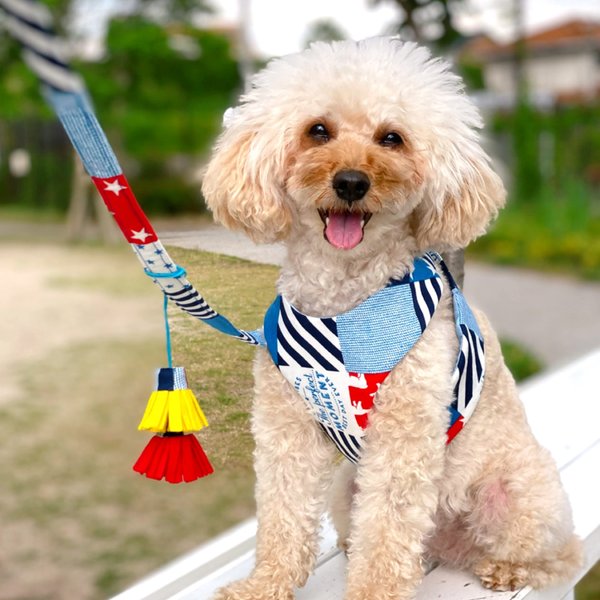 犬 ハーネス ペットグッズのハンドメイド 手作り通販 Minne 日本最大級のハンドメイドサイト 犬 ハーネス ペットグッズのハンドメイド 手作り通販 Minne 日本最大級のハンドメイドサイト