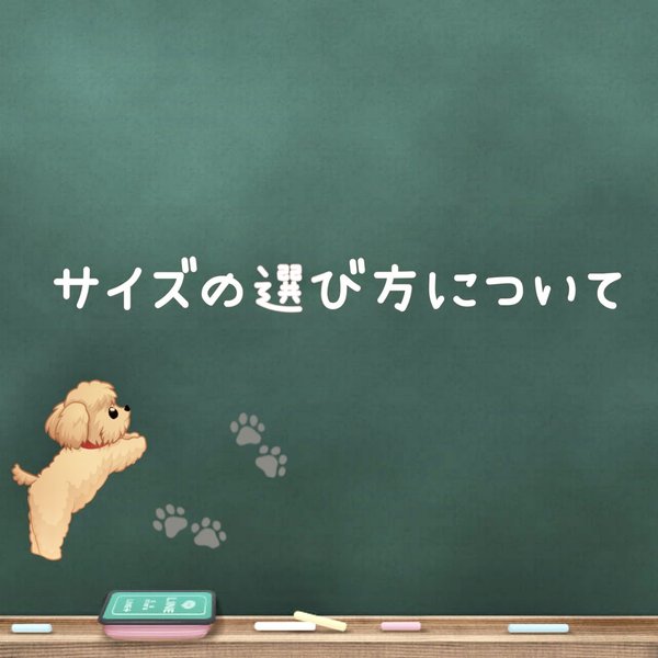 サイズの選び方について