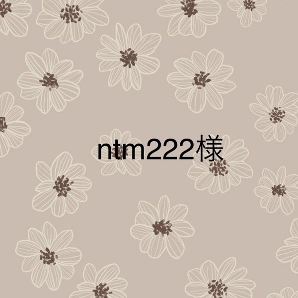 ntm222様専用ページ