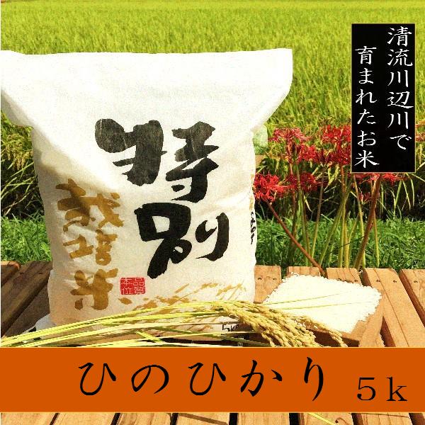 令和5年産新米　特別栽培米ひのひかり5ｋg　熊本県相良村産　精白米　　
