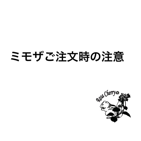 ミモザご注文時の注意