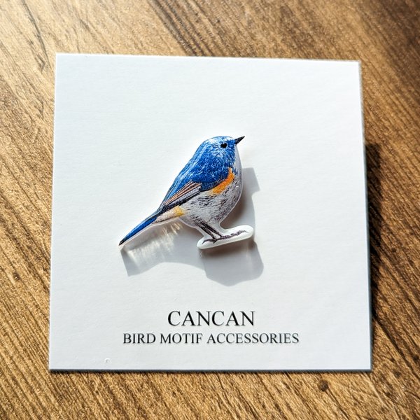 ルリビタキの樹脂ピンブローチ　幸せの青い鳥　野鳥