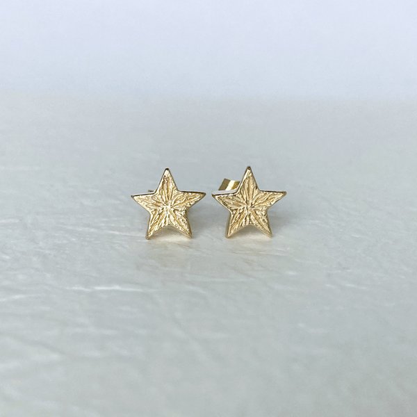 凛と輝く1つ星ピアス【star pierce(gd)】