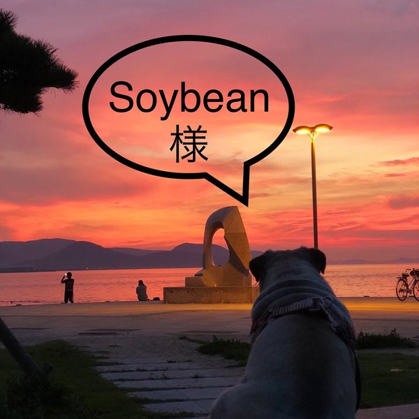Soybean様オーダー分