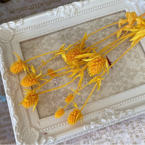希少花材エリンジュームイエローアレンジ加工❣️ハーバリウム花材プリザーブドフラワー