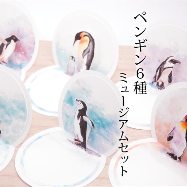 ペンギンミニポップアップカード６種セット