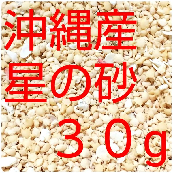 沖縄県産星の砂  ３０g ［星砂］送料無料