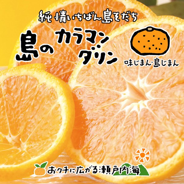 希望の島 完熟春みかん 訳あり品 2kg サイズ込 カラマンダリン 愛媛 中島産 みかん