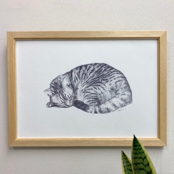 版画「丸まる猫」