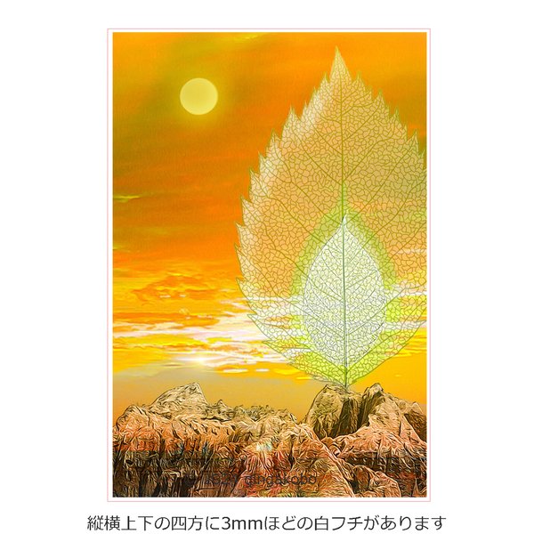 「花信風の通い路」　夕日　雲　ほっこり癒しのイラストポストカード2枚組No.087