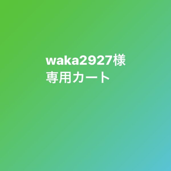 waka2927様専用カート