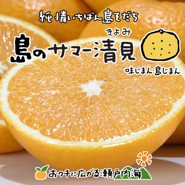 希望の島 サマー清見 家庭用 5kg サイズ込 愛媛県 中島産 みかん 島みかん