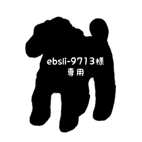 ebsli-9713様専用