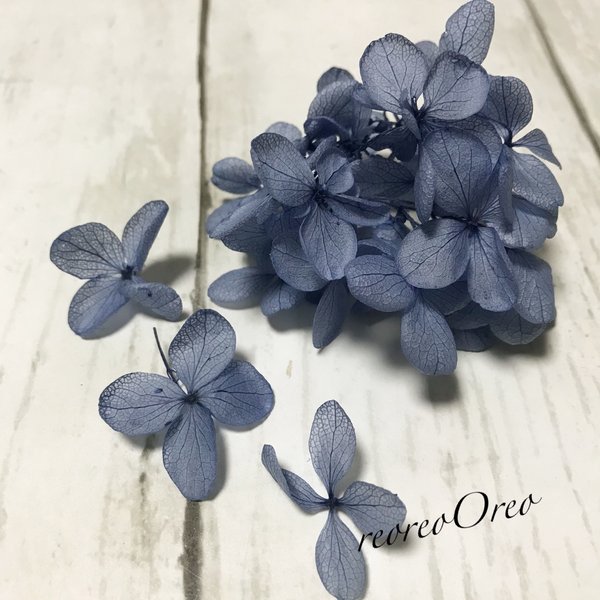 紫陽花  ロイヤルブルー  40枚ブリザーブドフラワー