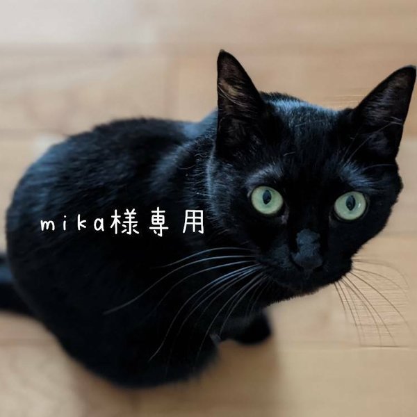 ☆ご注文ありがとうございます☆【mika様専用ページ】