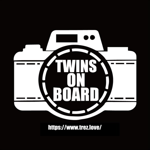 全10色 TWINS ON BOARD カメラ ステッカー 