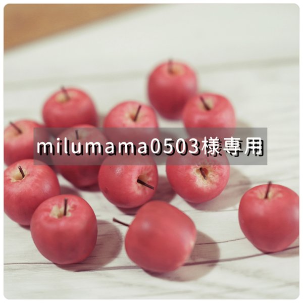 milumama0503様専用ページ