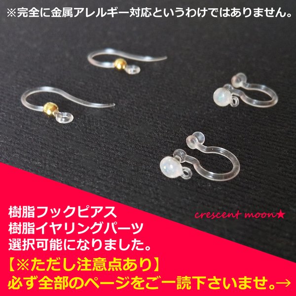 【お知らせとご注意点】樹脂製のフックピアスとイヤリングパーツが選択可能になりました。